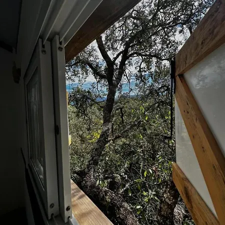 Del Arbol Lavagarural *