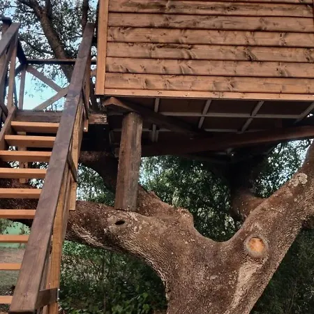 Del Arbol Lavagarural Campo de lujo